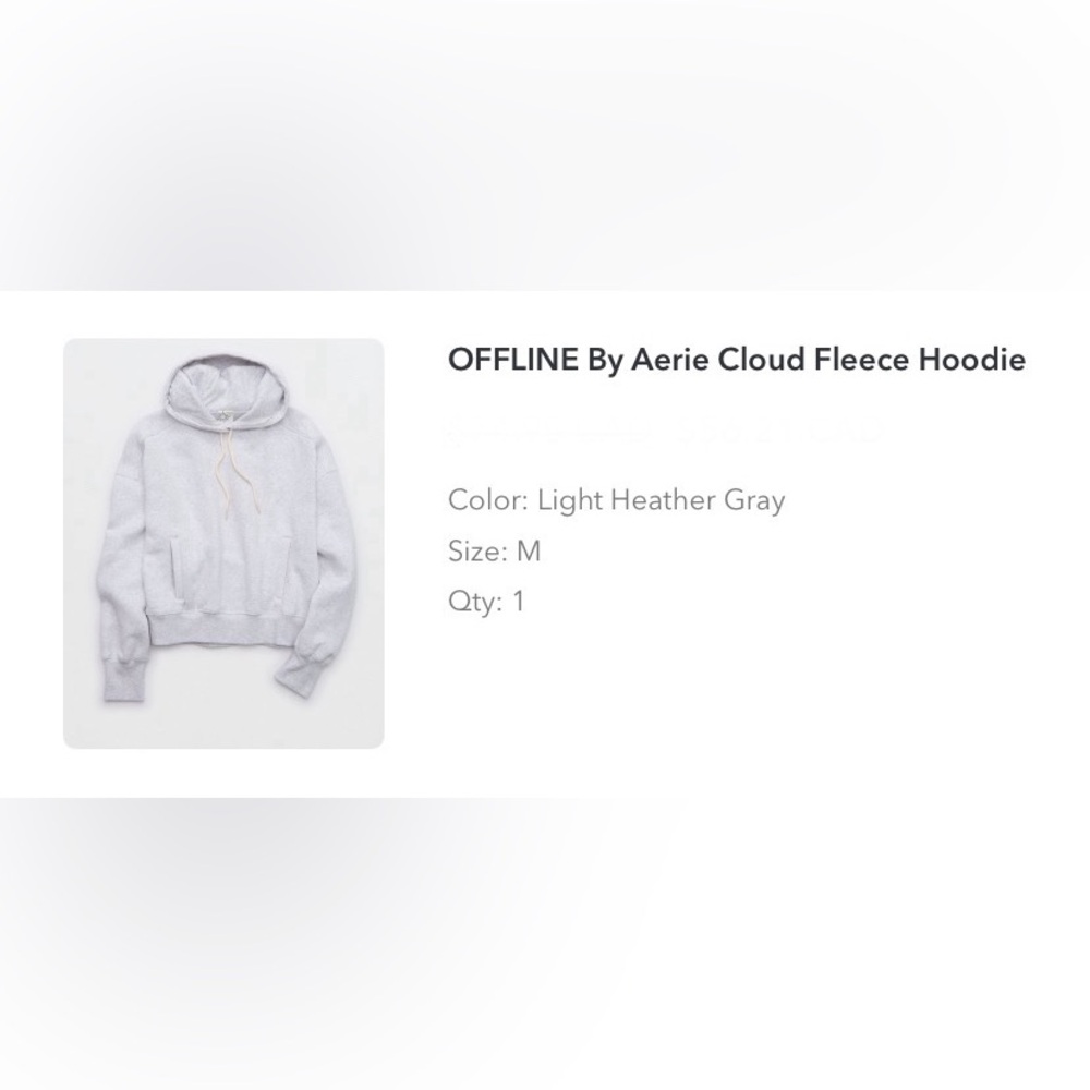 Aerie Cloud Fleece Hoodie in Light Gray